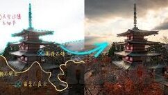 大象传媒天天看-探索大象传媒天天看的多元魅力