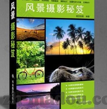 果冻传媒麻豆系列视频-果冻传媒麻豆系列视频，探索当代网红经济新生态的影像窗口