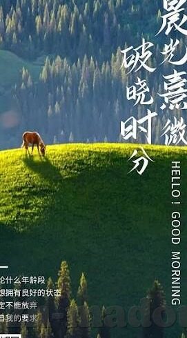 麻豆爽爽视频-一窥麻豆视频的赏心悦目之处