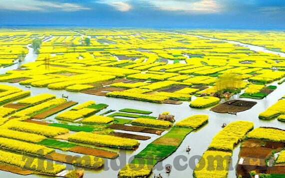 日韩一区二区在线播放-日韩影视资源，一区二区在线播放的多元视角与文化探索