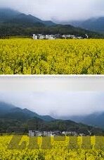 糖心vlog小七软-跟随糖心Vlog，解锁小七软件的温柔时光