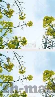 佐佐木明希中文字幕在线视频-佐佐木明希，中文字幕在线视频的魅力探索
